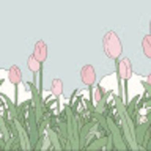 Meet your Posher, Susannah